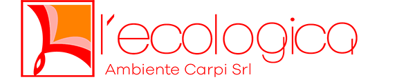 Sito web